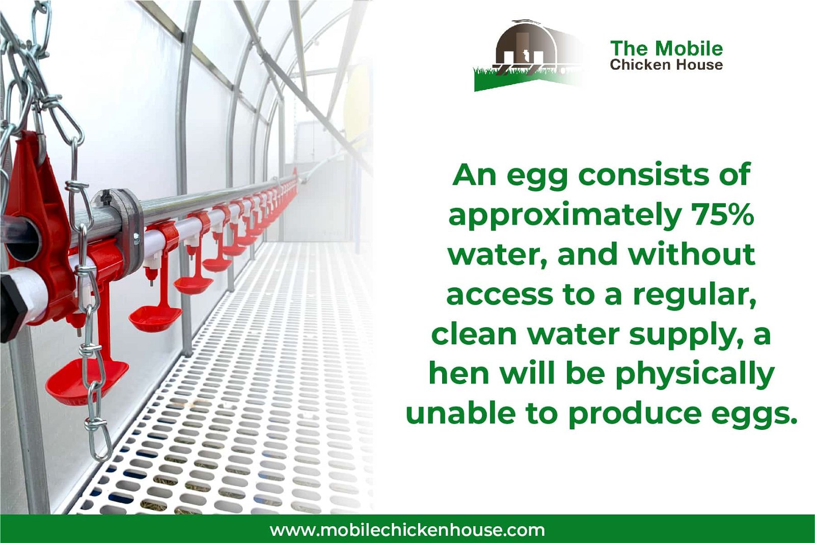 eggs consist of approximately 75% water