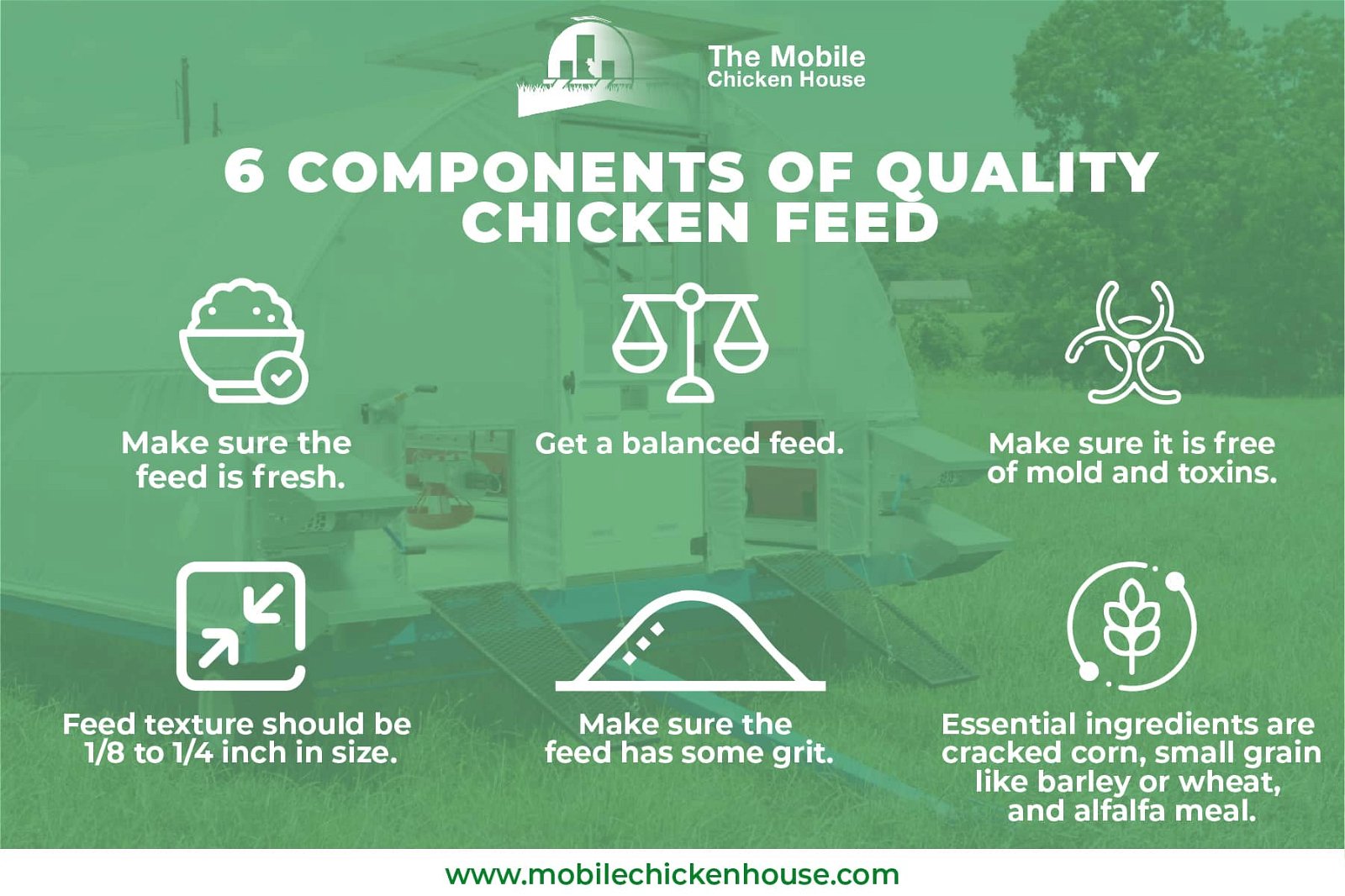 6 components of quality chicken feed
