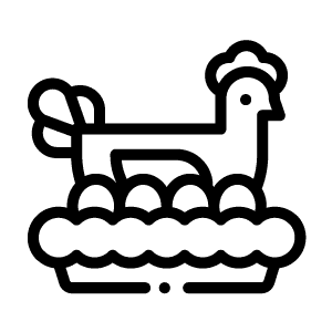Blog-images--The-Mobile-Chicken-House-ICON-3
