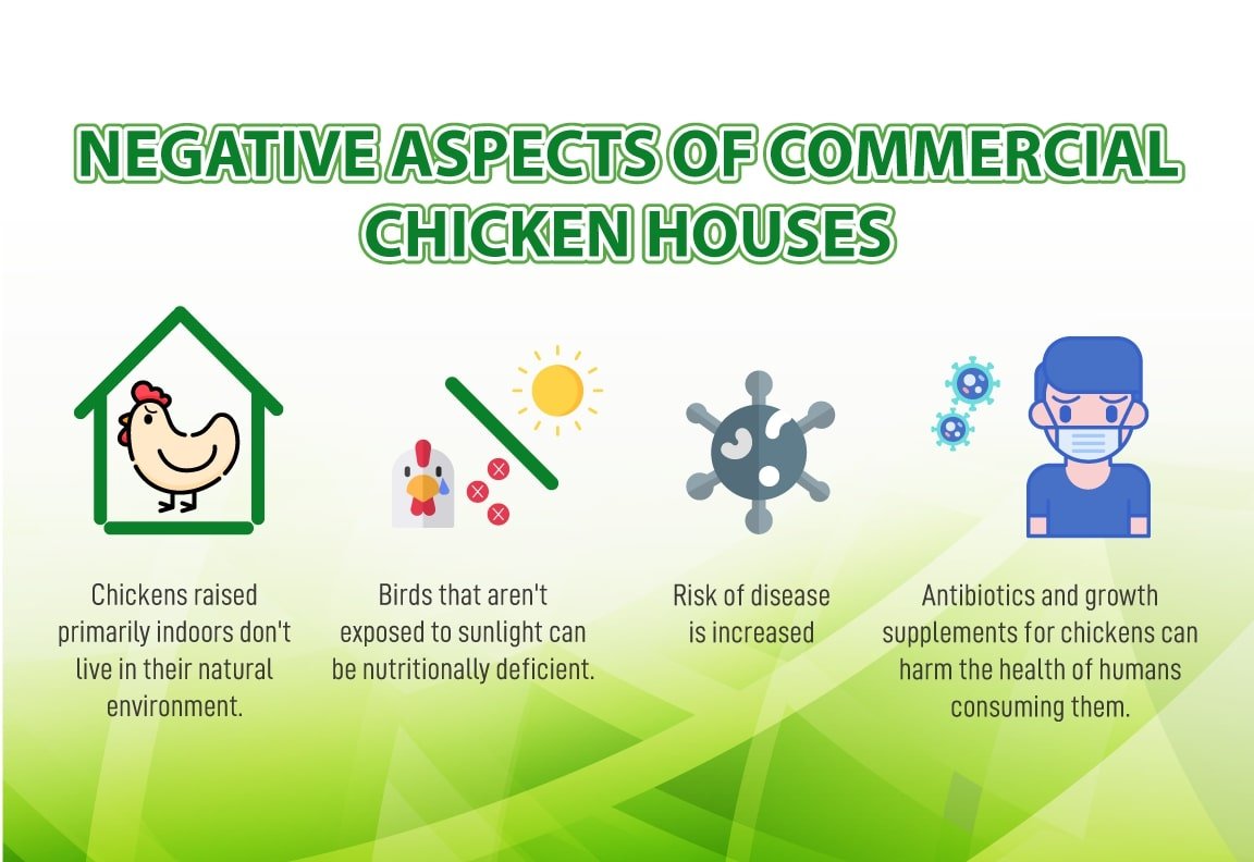 negative aspects of commercial chicken houses
