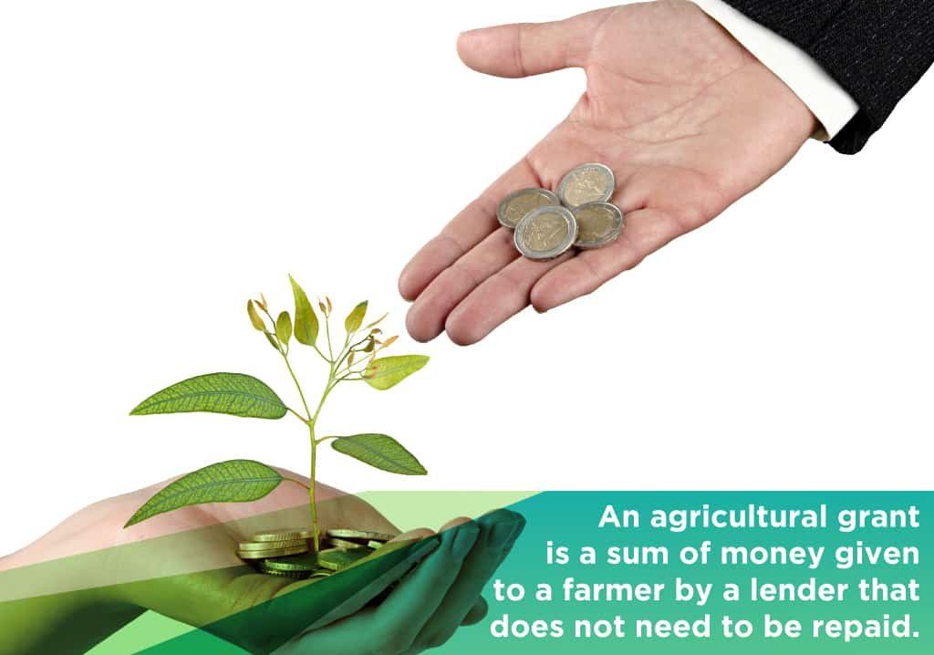 an agricultural grant is a sum of money given to a farmer that does not need to be repaid