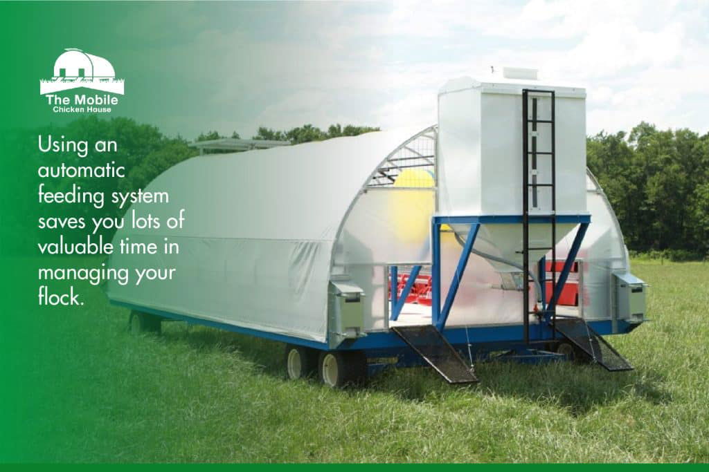 Automatic feeding systems save lots of time for poultry farmers