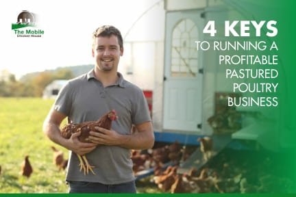4 Keys To Running A Profitable Pastured Poultry Business 6