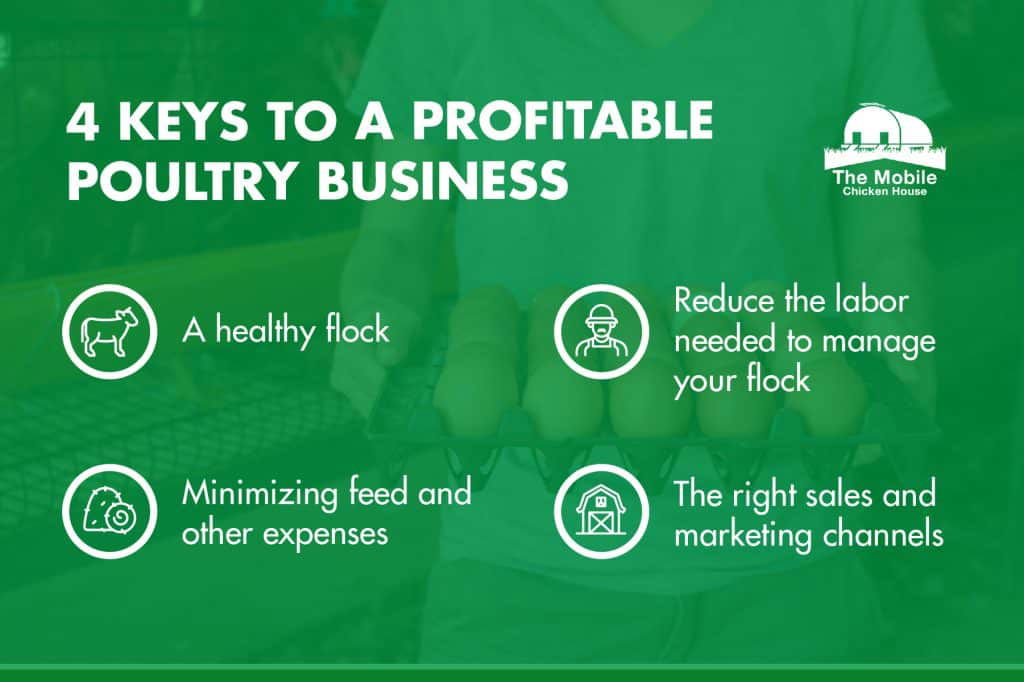 keys to a profitable poultry business