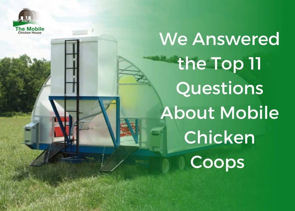 We Answered The Top 11 Questions About Mobile Chicken Coops 4