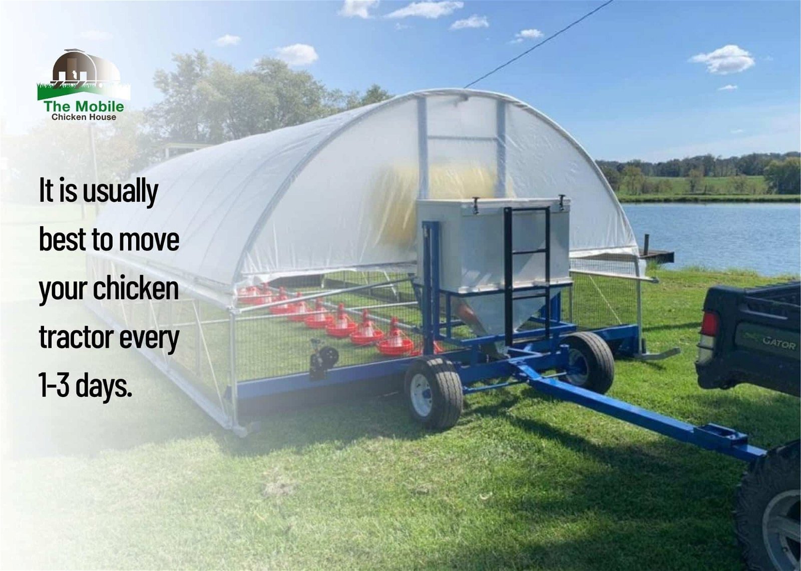 Move your chicken tractor every several days