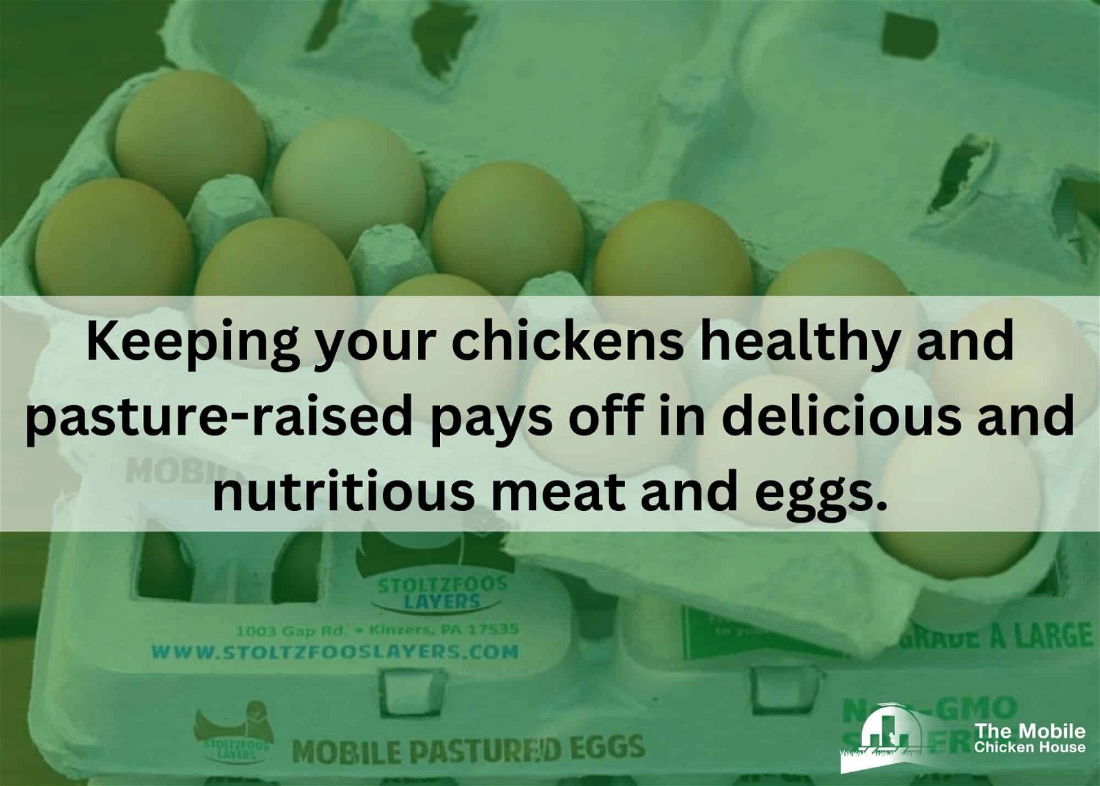 keeping your chickens healthy and pasture-raised