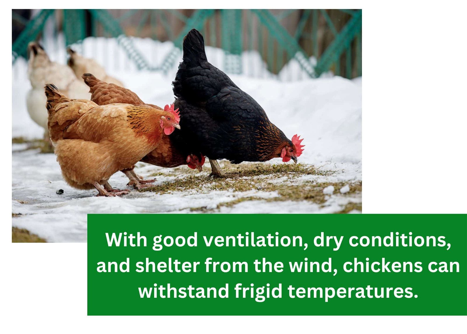 with good ventilation, dry conditions, and shelter from the wind