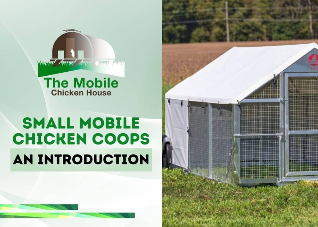 Small Mobile Chicken Coops: An Introduction 3