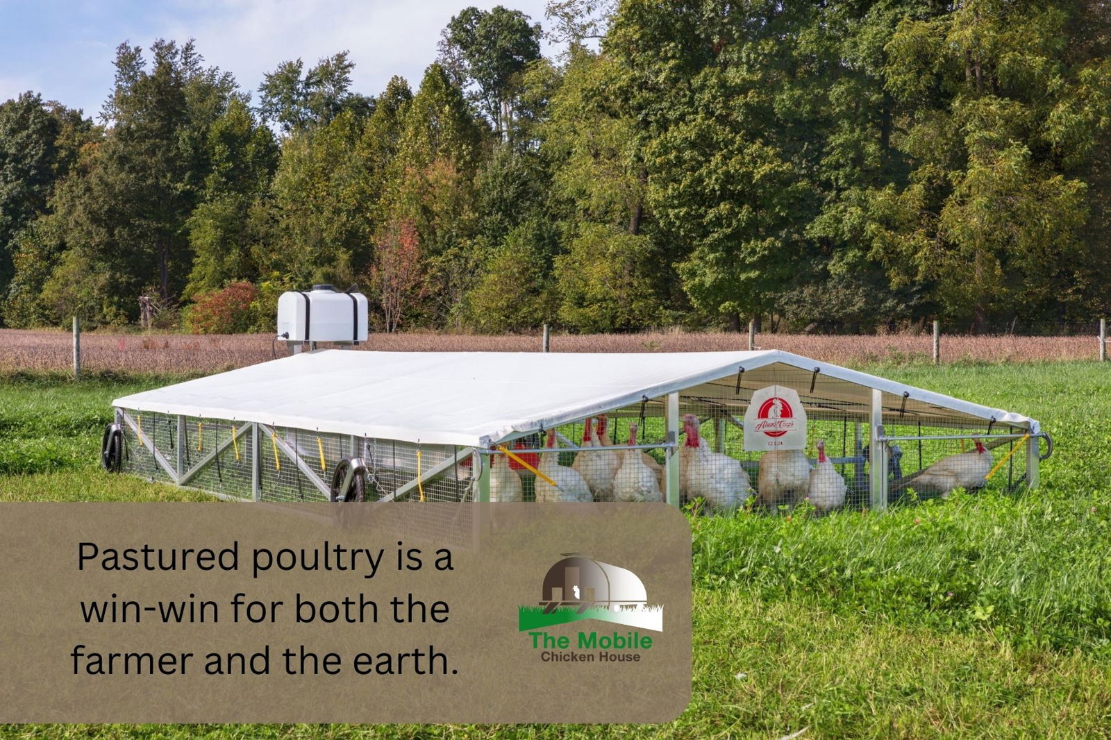 1 - Pastured poultry is a win-win