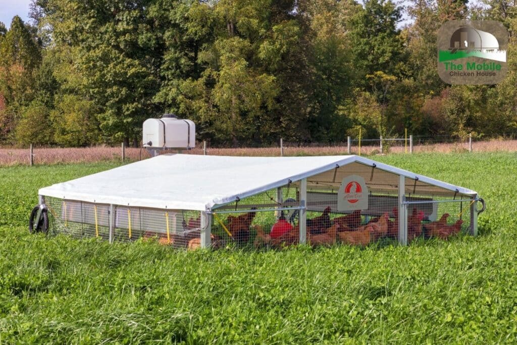 Unlocking the Potential of Pastured Poultry and Livestock with The Mobile Chicken House 1